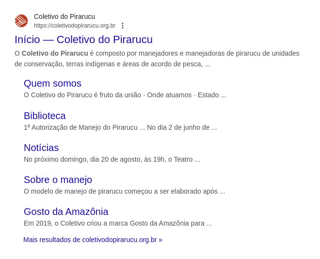 seo coletivo pirarucu